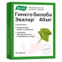 Справочник препаратов: ГИНКО БИЛОБА