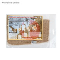 НАКОЛЕННИК