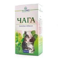 ЧАГА (БЕРЕЗОВЫЙ ГРИБ)