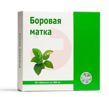 БОРОВАЯ МАТКА
