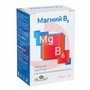Справочник препаратов: МАГНИЙ В6