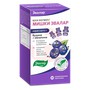 Справочник препаратов: БЭБИ ФОРМУЛА МИШКИ ИММУНИТЕТ