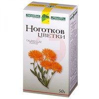 КАЛЕНДУЛЫ ЦВЕТКИ
