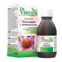 Справочник препаратов: DR. VISTONG ЭХИНАЦЕИ СИРОП