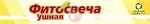 Справочник препаратов: ФИТОСВЕЧИ УШНЫЕ