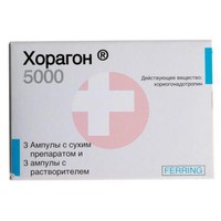 ХОРАГОН