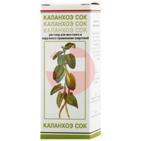 КАЛАНХОЭ СОК