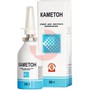 Справочник препаратов: КАМЕТОН