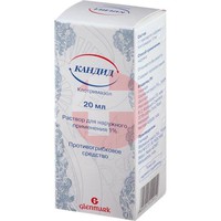 КАНДИД