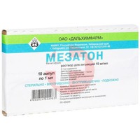 МЕЗАТОН