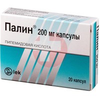 ПАЛИН
