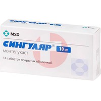 СИНГУЛЯР