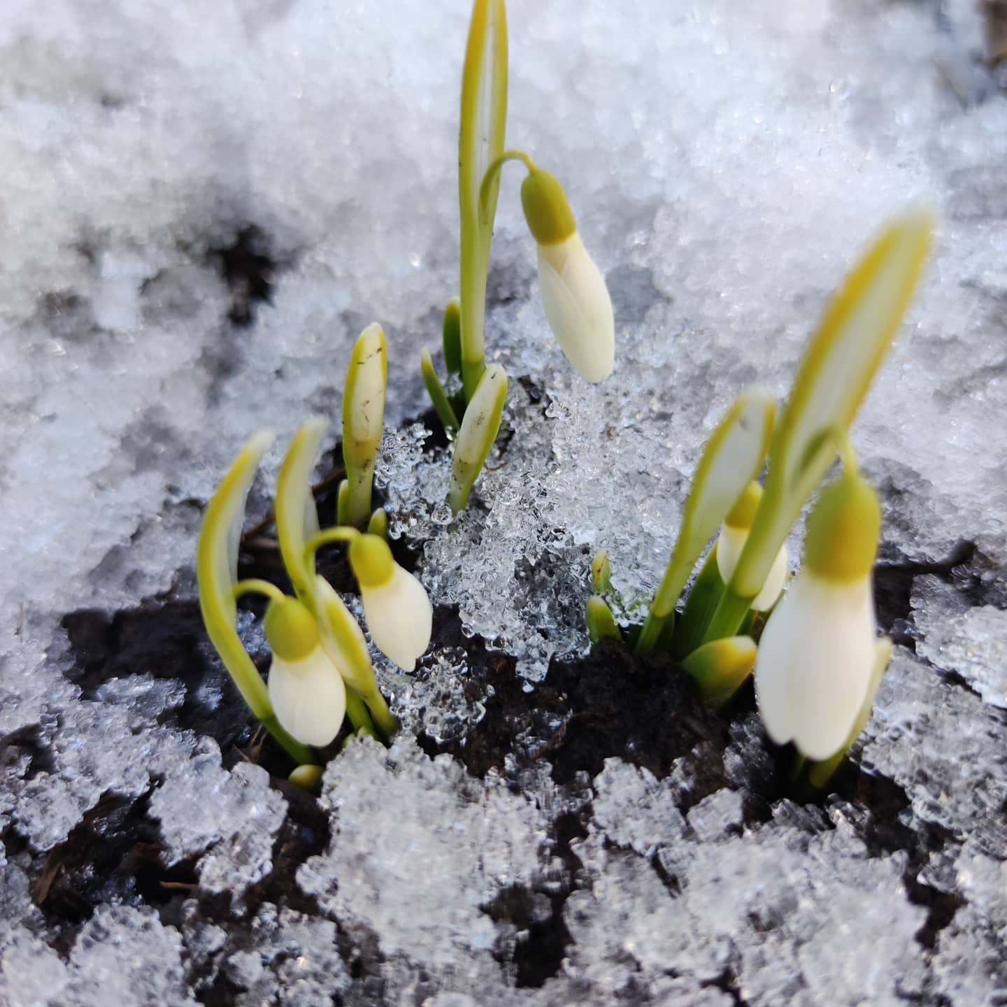 man_in_white_overall
